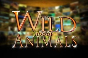 Wild About Animals Logo
